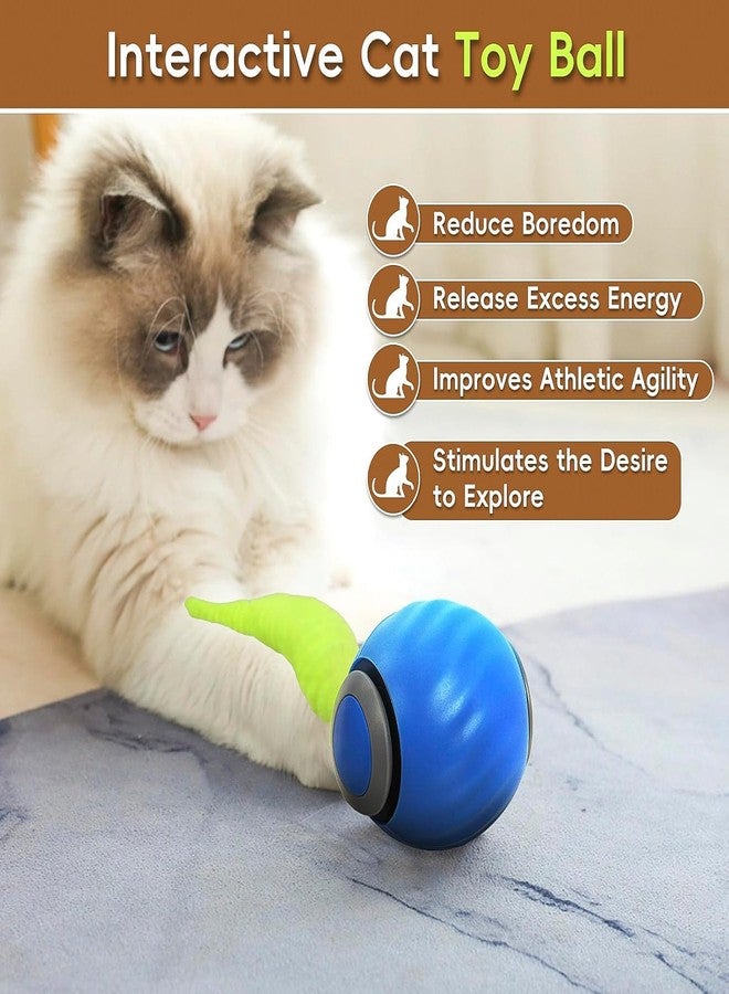 Bitrexup لعبة Bitrexup Speedy Tail Cat Toy 2.0، كرة تفاعلية للقطط المنزلية التي تشعر بالملل، كرة لعب متحركة تلقائيًا، سرعتان قابلتان للتعديل مع ذيل بديل - Image 2